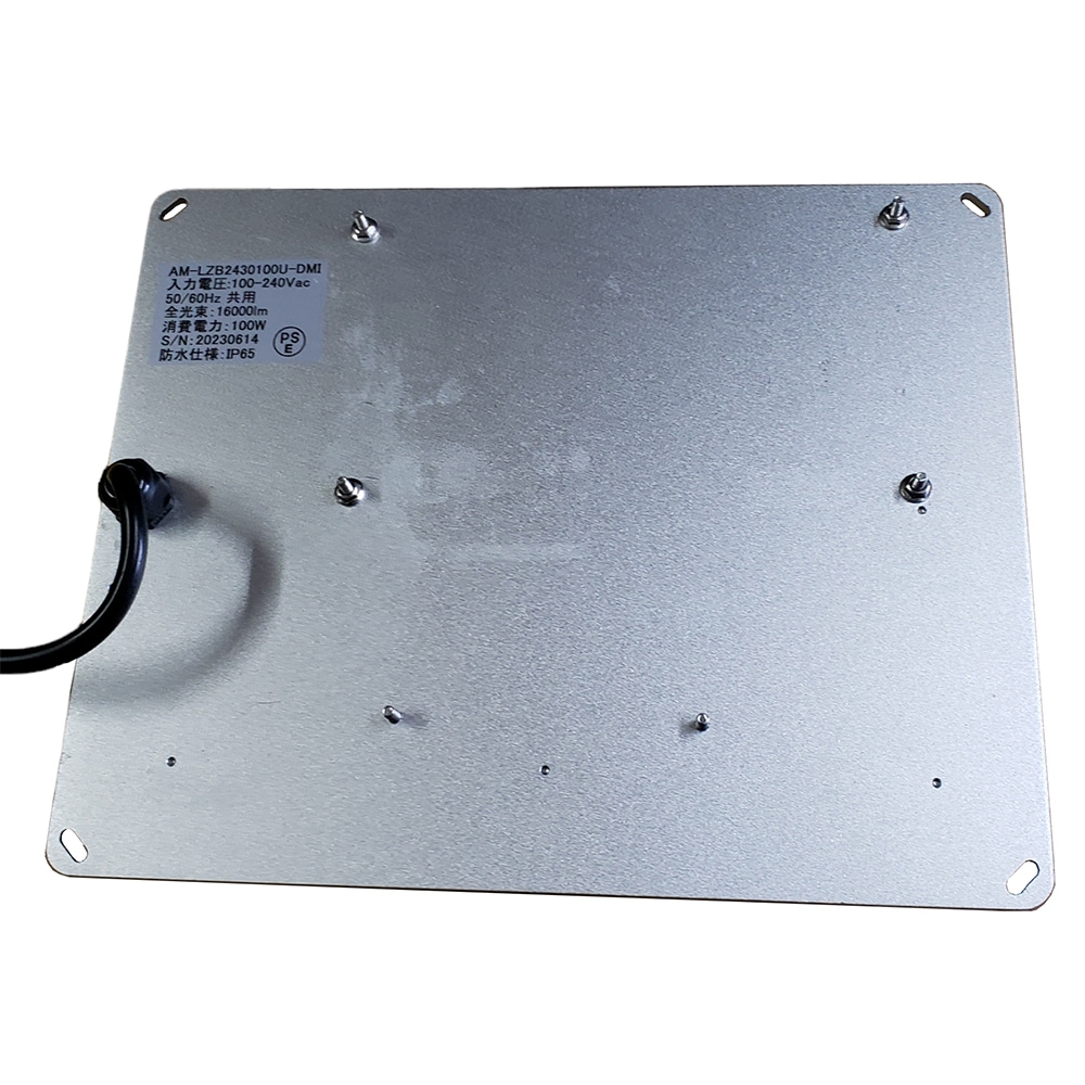 ◎金童 spore株 ④出品◎ P. FSQ spore (pup) 成長記録 2024.5.6｜🍀GreenSnap（グリーン